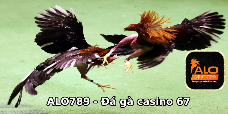 Trực tuyến đá gà casino đỉnh cao ALO789