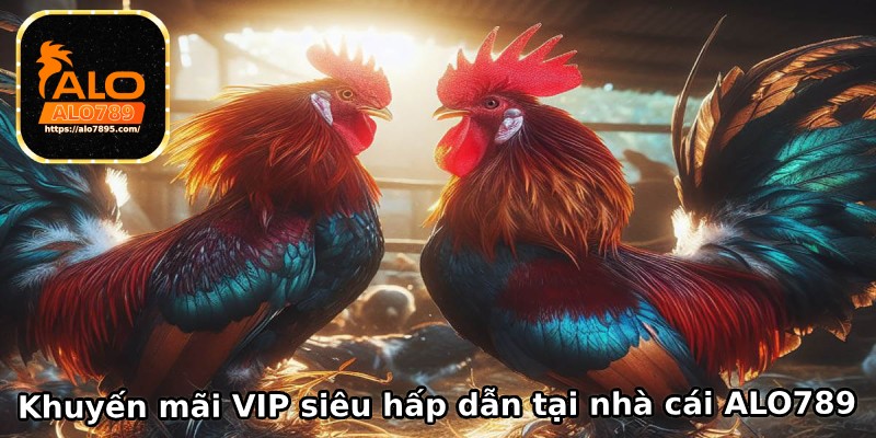 Tri ân khách Vip với khuyến mãi lớn