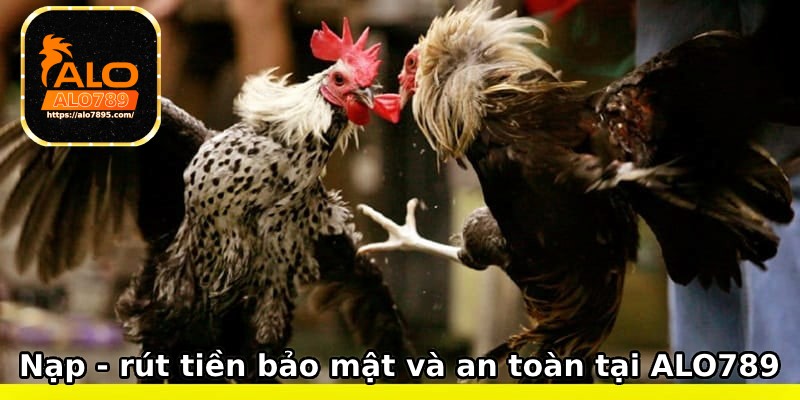 Giao dịch nạp tiền và rút tiền bảo mật - an toàn