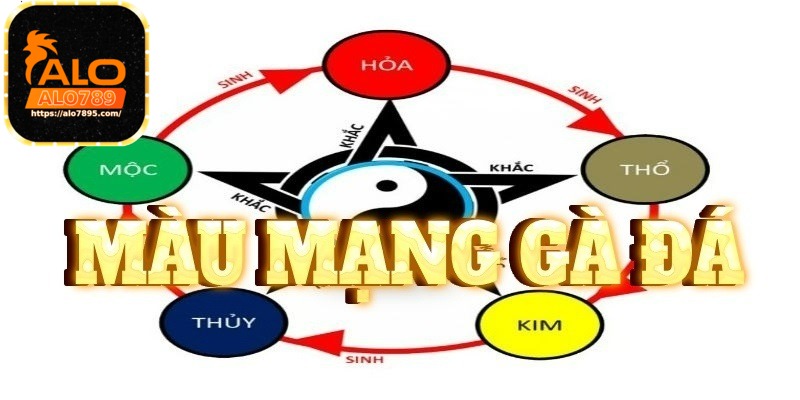 Lưu ý khi xem màu mạng gà đá