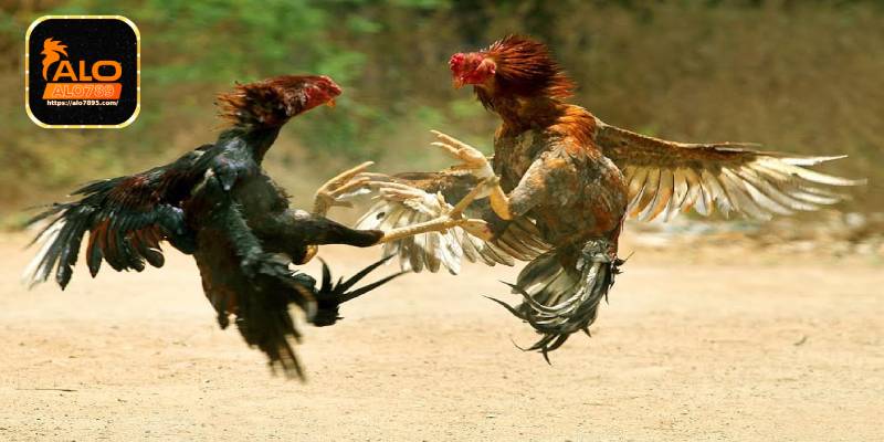 Tính minh bạch trong từng giao dịch và an toàn tuyệt đối